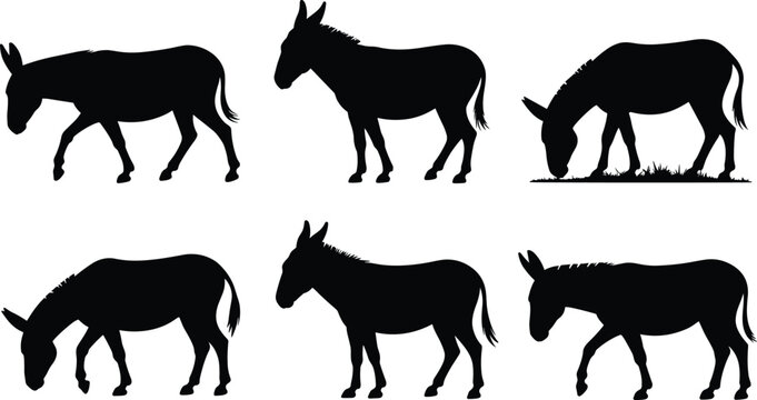 Six Black Silhouettes of Donkeys in Various Poses on a White Background Keywords: silhouette, donkey, animal, farm, livestock, mammal, creature, domestic, agriculture, rural, standing