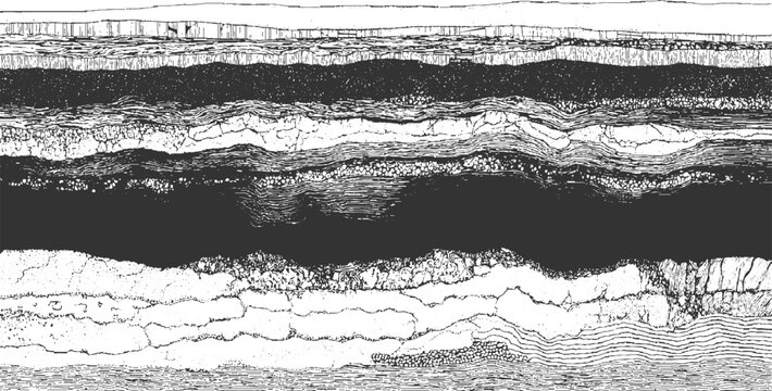 Detailed cross section of geological strata showing layers of rock and sediment with varying textures and patterns