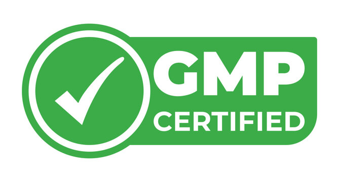 GMP Certified. Good Manufacturing Practice Certified isolated  Green stamp, sticker, sign vector illustration