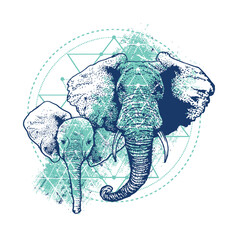 Vector illustration of an elephant with a global world map design, nature elements, and cartoon style icon artwork,t-shirt design  © md