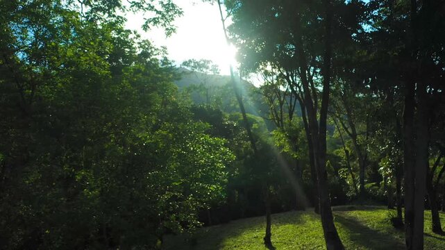 Aerial view of a dense tropical mountain forest at sunset with deep shadows and golden light on the canopy
