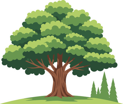 Cartoon illustration of large deciduous tree with thick trunk lush green foliage on grassy hill beside smaller coniferous trees for nature education landscape and design projects