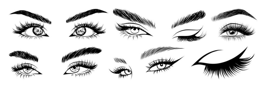 Collection of fashion woman eyes with long eyelashes and perfectly shaped eyebrows, hand-drawn beauty vector illustration set