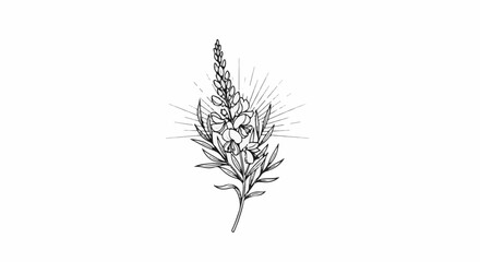 Fototapeta premium Line art illustration of a flowering plant with radiating lines