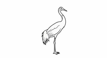 Obraz premium Elegant crane standing on one leg, sketched in simple black and white
