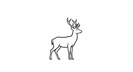Fototapeta premium Elegant stag with large antlers standing on a white background