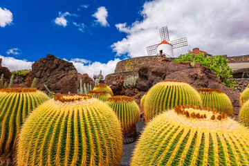 Obraz premium Jardin Cactus Garden, Lanzarote, Canary Islands, Spain