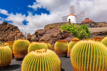 Obraz premium Jardin Cactus Garden, Lanzarote, Canary Islands, Spain