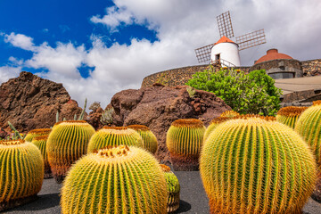 Obraz premium Jardin Cactus Garden, Lanzarote, Canary Islands, Spain