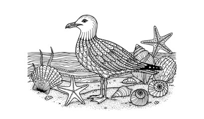 Fototapeta premium Zentangle Seashells Starfish and Seagull Coloring Book Page