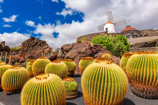 Jardin Cactus Garden, Lanzarote, Canary Islands, Spain