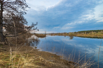 Obraz premium Silent lake mirrors blue sky and distant trees