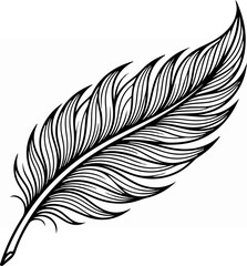 Obraz premium Detailed black and white illustration of a single feather on white background.