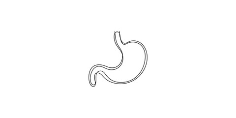 Obraz premium Human stomach anatomy illustration in simple line art style on white background digestive system organ