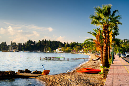 Promenade with palm trees in morning light on island Corfu, Greece, Kato Agios Markos.