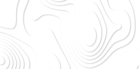 Fototapeta premium Abstract paper cut design, suitable for backgrounds, graphic design projects, web designs, and artistic templates. Organic Paper cut abstract White Background. white contour lines for business concept