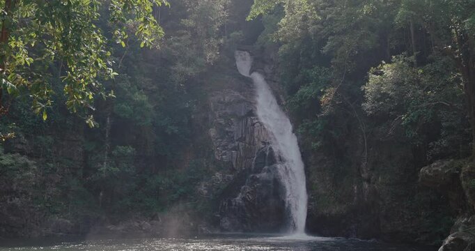 Waterfall flows down rocky cliff into natural pool surrounded by dense green tropical forest. Soft sunlight filters through trees in serene wilderness environment.