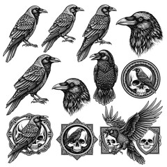 Fototapeta premium Raven and Crow Illustrations with Skull Designs a Detailed Monochrome Vector Collection