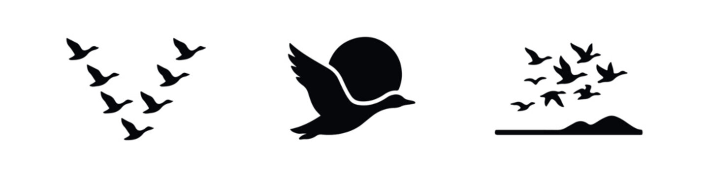 Set of black silhouettes of ducks in flight, featuring a V-formation, a single bird with a sun, and a flock over a horizon, on a white background.