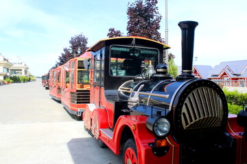 Naklejka premium There is a steam locomotive in the park for children to ride.
