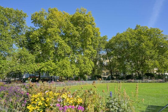 Blumen, Park, Kantstra&szlig;e, Savignyplatz, Charlottenburg, Berlin, Deutschland