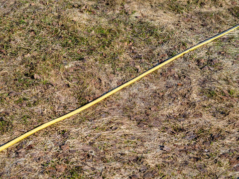 Yellow garden hose lying diagonally on dry grass with fallen leaves in early spring or autumn. Outdoor natural background with seasonal texture