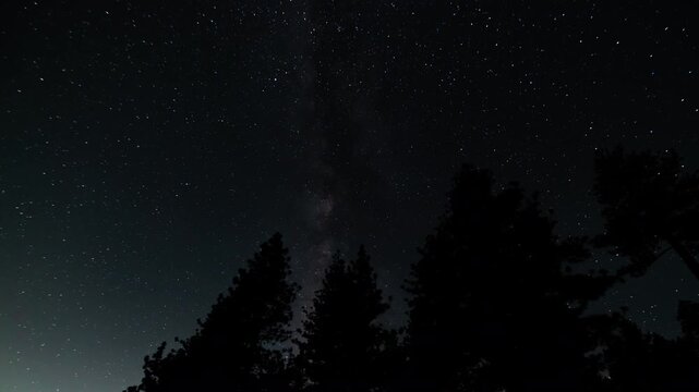 Milky Way Galaxy in South Sky Over Mountain Forest 15mm Astrophotography Time Lapse California USA