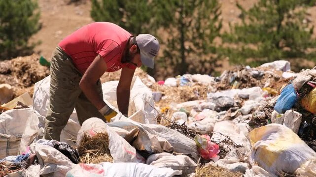 A worker collecting garbage in an open landfill area. Realistic scene highlighting environmental pollution, recycling, sustainability, and human labor in a natural environment.