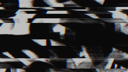 Black and white glitch background contains chromatic aberration and signal corruption. Digital noise with scanline artifacts creates an abstract distortion overlay for retro tech designs. © Aleksandra Konoplya
