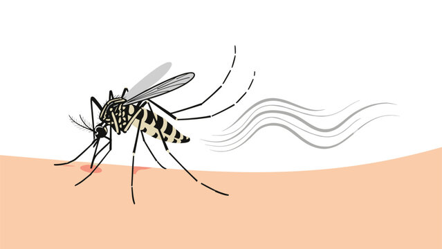 Close-up illustration of a mosquito biting human skin with a trail of wavy lines symbolizing blood or disease transmission.