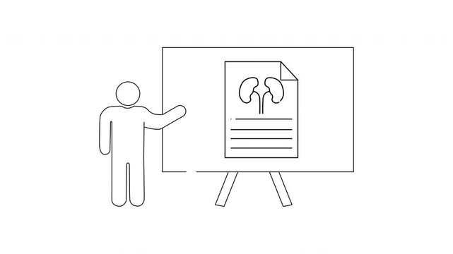 Kidney Health Presentation - Educational Outline in Simple Line Art.