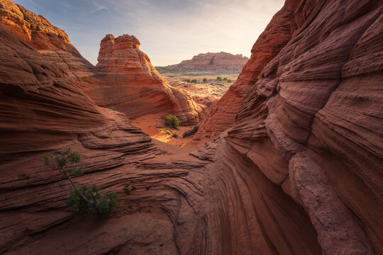 View of sculpted sandstone formations glow warmly under the desert sun, creating a labyrinth of textures and shadows in Page, Arizona, United States.