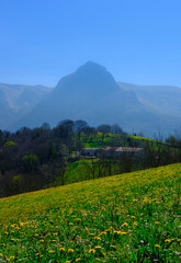 Fototapeta premium Meadows and farmhouses in Gainza, with Mount Txindoki in the background.