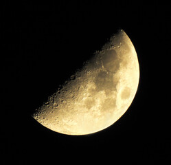 Luna © Steve Fossiant