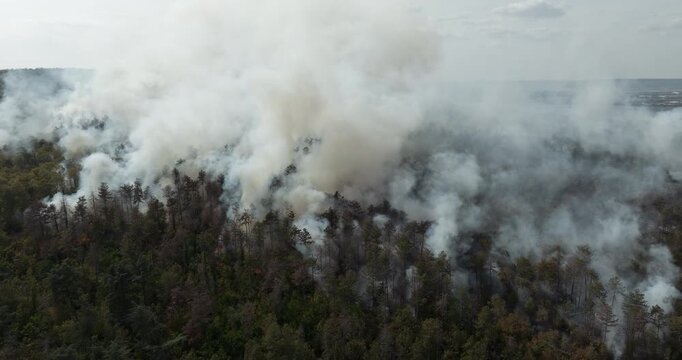 Dynamic aerial shot forest fire thick smoke climate change ecological catastrophe nature disaster environment crisis. Burning trees wood landscape air pollution carbon footprint concept view.