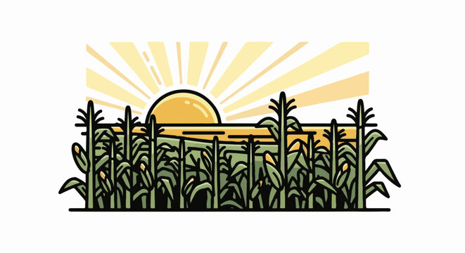 Sunny sunrise over a lush green cornfield with ripening ears of maize