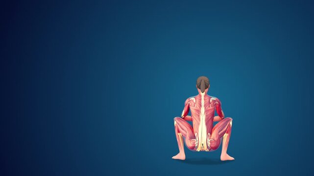 3D human Upavesasana yoga pose on blue background, loopable