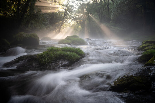 waterfall in the forest