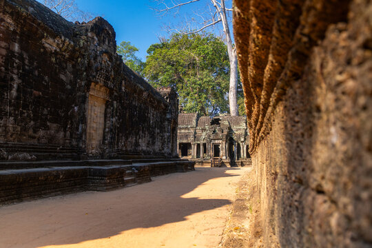 View of ancient stone structures bathed in warm sunlight and shadowed corners, a path leading through weathered walls, Ta Prohm Temple, Siem Reap, Cambodia.