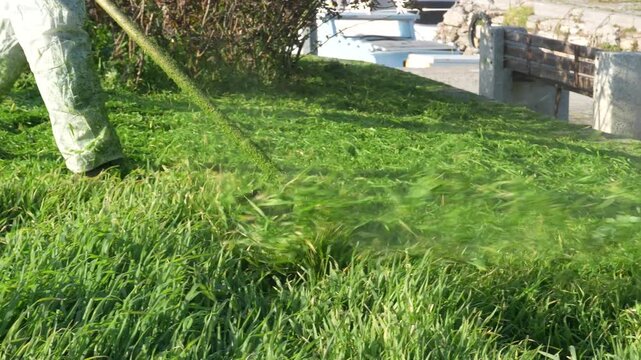 Professional Gardener Trimming Lush Green Grass with a String Trimmer - Commercial Lawn Care and Garden Maintenance - 4K. High quality 4k footage