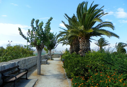 Greece, Crete, Heraklion, Nikos Kazantzakis and Manos Hatzidakis Park, palm trees and bushes