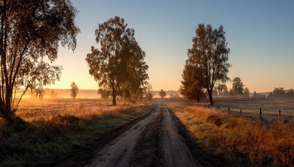 Naklejka premium Rural dirt road at sunrise with trees and mist.