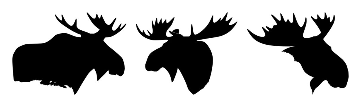 Moose head silhouette set with bold black outline minimalistic design featuring wildlife, ungulate, nature illustration with forestry and conservation