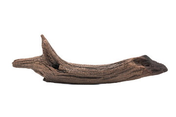 Naklejka premium Ancient, dried tree roots with unique and beautiful shapes against a white background.