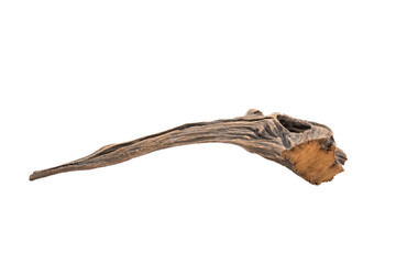 Obraz premium Ancient, dried tree roots with unique and beautiful shapes against a white background.