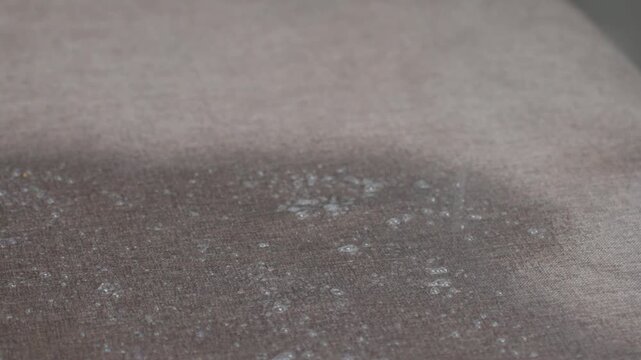 Dusty Sofa Fabric With White Residue, Closeup View Showing Powdery Spots On Cushion Surface, Professional Cleaning Demonstration Focusing On Stain And Residue Removal With Detergent And Brushing,