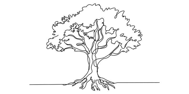Continuous line drawing of a majestic tree with deep roots and a full canopy on white background