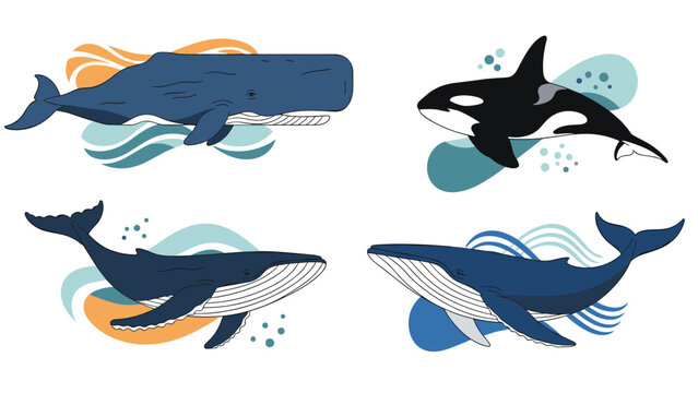 Collection of different whale species including a sperm whale orca and blue whales swimming through abstract blue and orange waves in the deep ocean.
