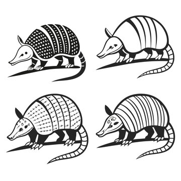 A quartet of armadillos standing side by side in a uniform line formation