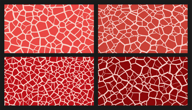Premium Japanese beef fat marbling pattern collection